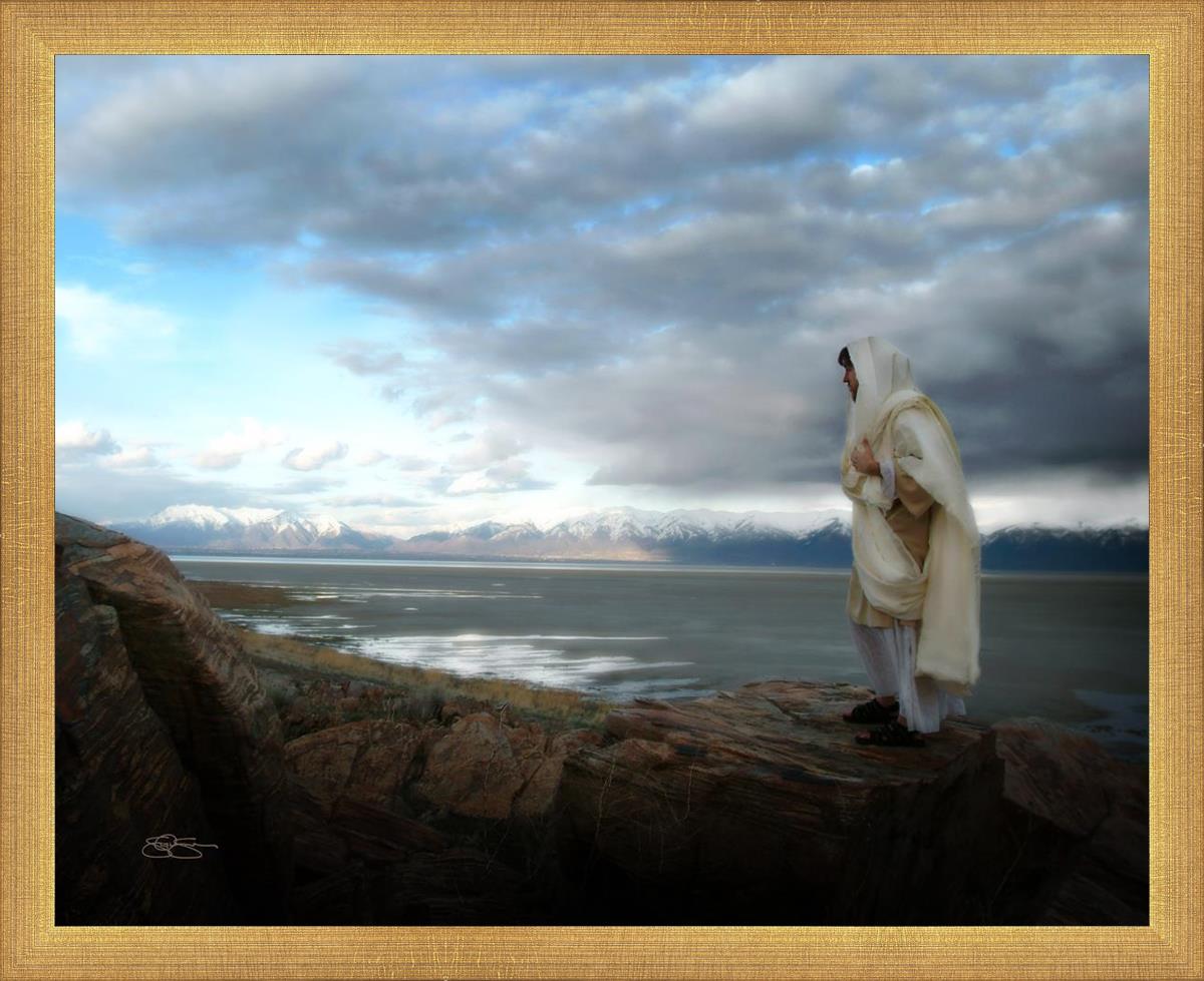 Alone Shepherd Book by Scott Sumner - Inspirational Christian Fiction for Personal Growth & Faith Journey | Perfect for Book Clubs, Bible Study Groups & Quiet Reflection Time