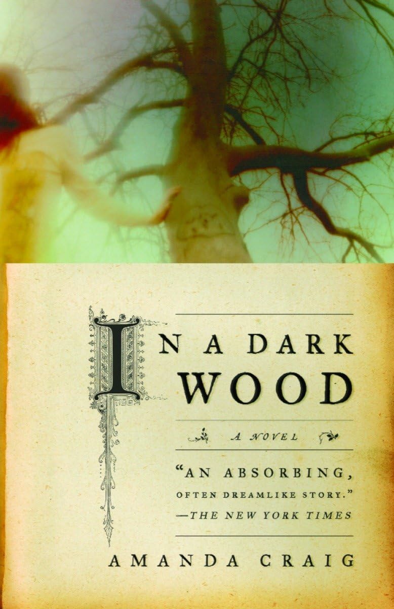 In a Dark Wood: A Psychological Thriller Novel - Perfect for Mystery Lovers & Book Club Discussions
