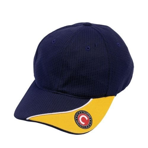 Navy Gold