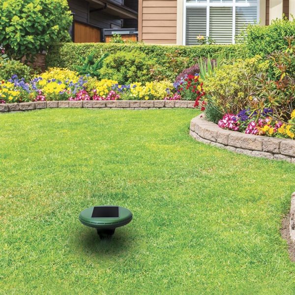 RR200 Solar-Powered Ultrasonic Rodent Repeller - Eco-Friendly Pest Control for Gardens, Yards & Outdoor Areas