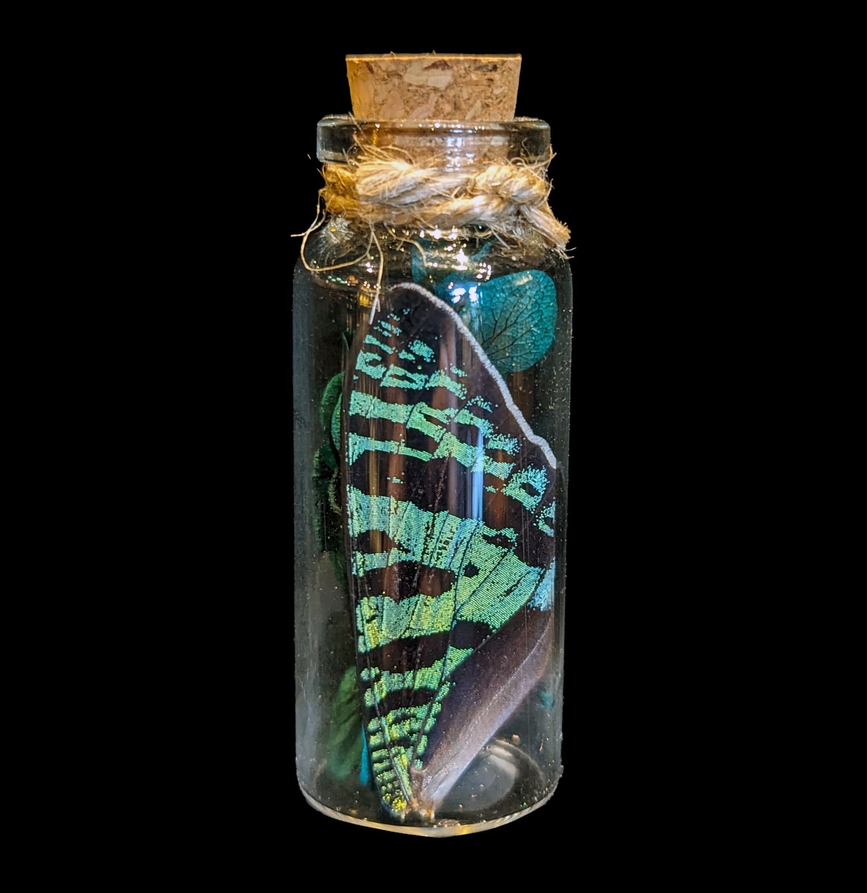 Butterfly Wing in Glass Bottle - Unique Decorative Collectible for Home, Office & Gift Giving - Perfect for Nature Lovers & Science Enthusiasts
