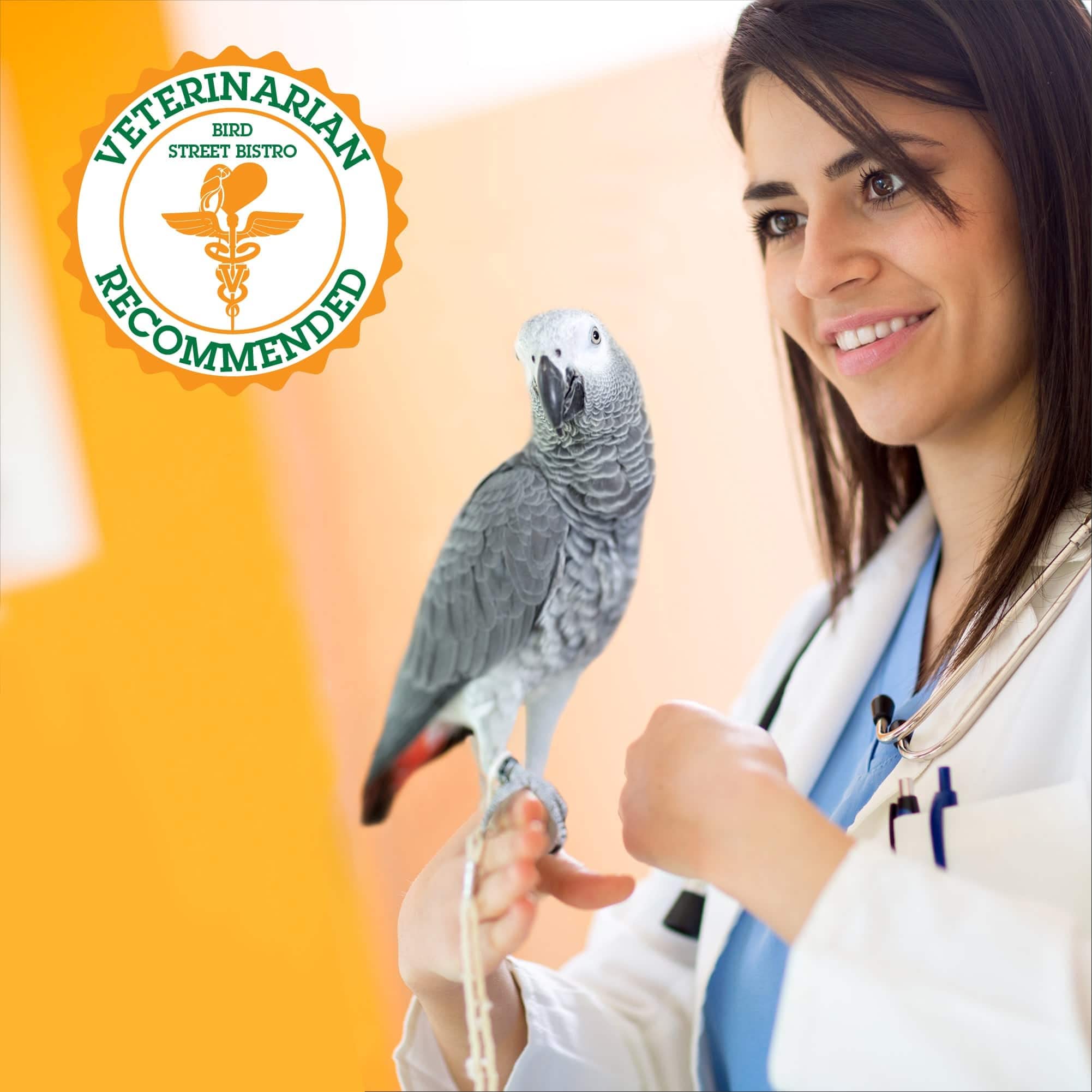 Premium Organic Parrot & Bird Food Mix - Non-GMO Grains, Legumes, Fruits & Vegetables - Quick Cook in 3-15 Minutes - Healthy Diet for Parakeets, Cockatiels & Pet Birds - Perfect for Daily Feeding & Nutritional Supplements