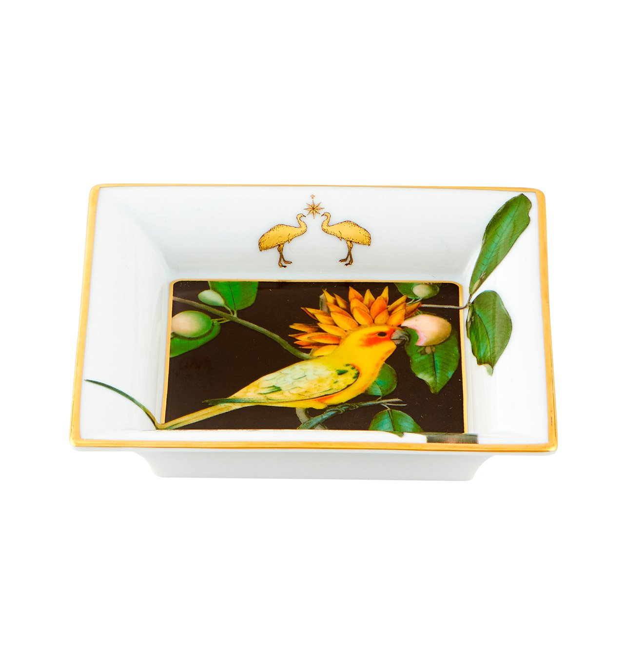 Amazonia Small Square Tray - Decorative Serving Tray for Coffee, Tea, and Desserts - Perfect for Home, Office, and Party Use