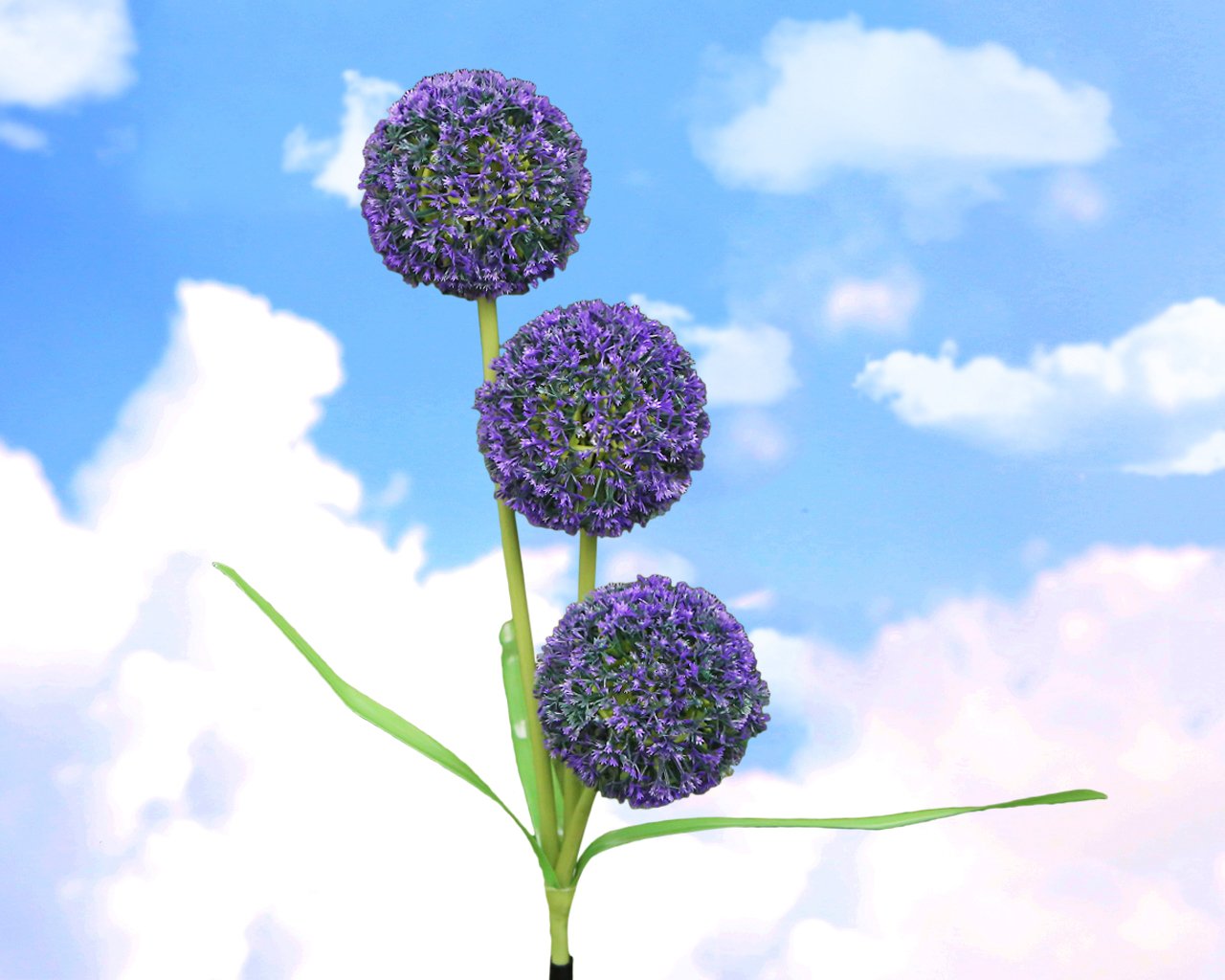 Solar Powered Dandelion LED Lights - Waterproof Outdoor Solar Garden Lights for Backyard, Lawn & Landscape Decoration (Purple) | Perfect for Patio, Pathway & Garden Bed Lighting at Night