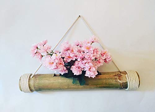 Hanging Bamboo Planters with Adjustable Rope - Natural Bamboo Stand & Pot for Indoor Plants - Perfect for Home Decor, Balcony, and Garden - Pack of 1