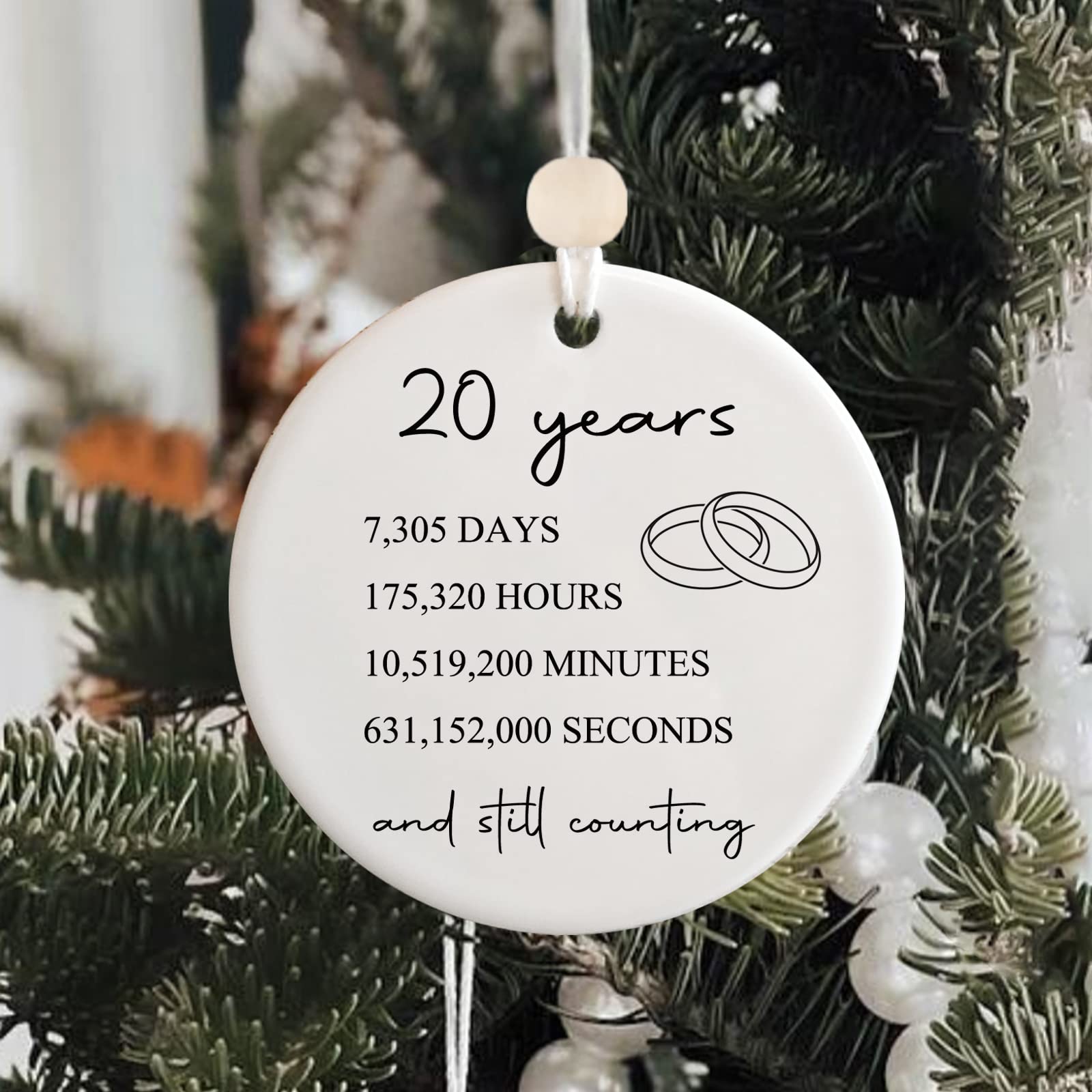 20th Anniversary Platinum Gifts for Couples - Elegant 20 Year Wedding Anniversary Jewelry for Wife or Husband | Perfect for Romantic Celebrations, Vow Renewals & Milestone Gifts
