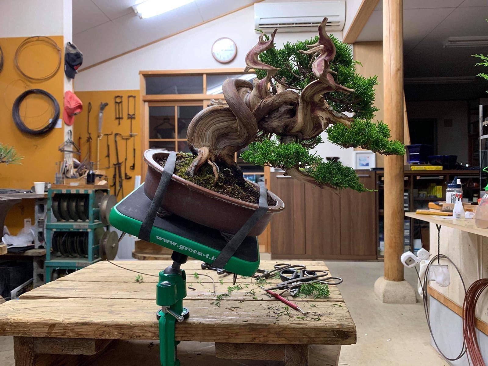 Professional Bonsai Turntable with Suction Base - Green T Mini S for Easy Plant Care & Display - Perfect for Home Decor, Gardening, and DIY Bonsai Projects