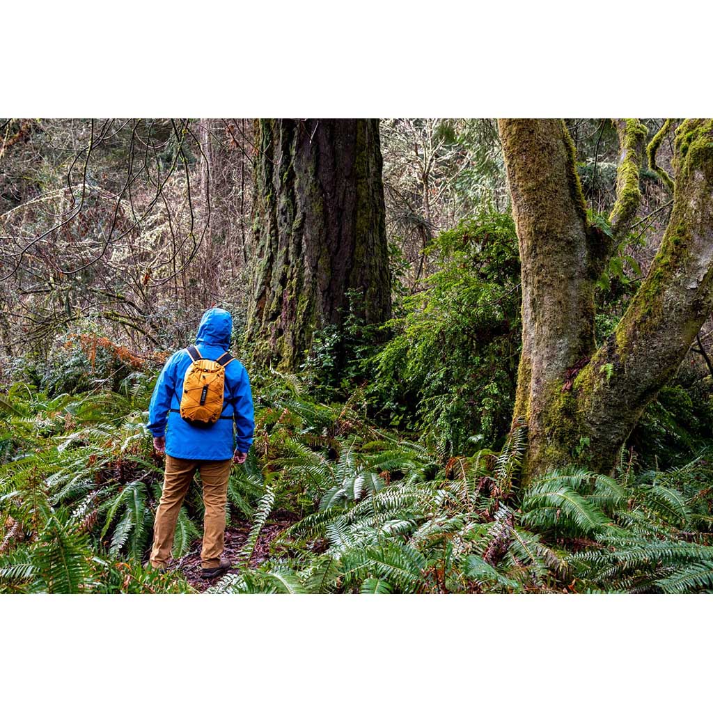 Cloudburst 25 Navy Backpack - Waterproof Hiking Daypack for Outdoor Adventures, Travel & Camping | Lightweight Durable Rucksack with Multiple Pockets