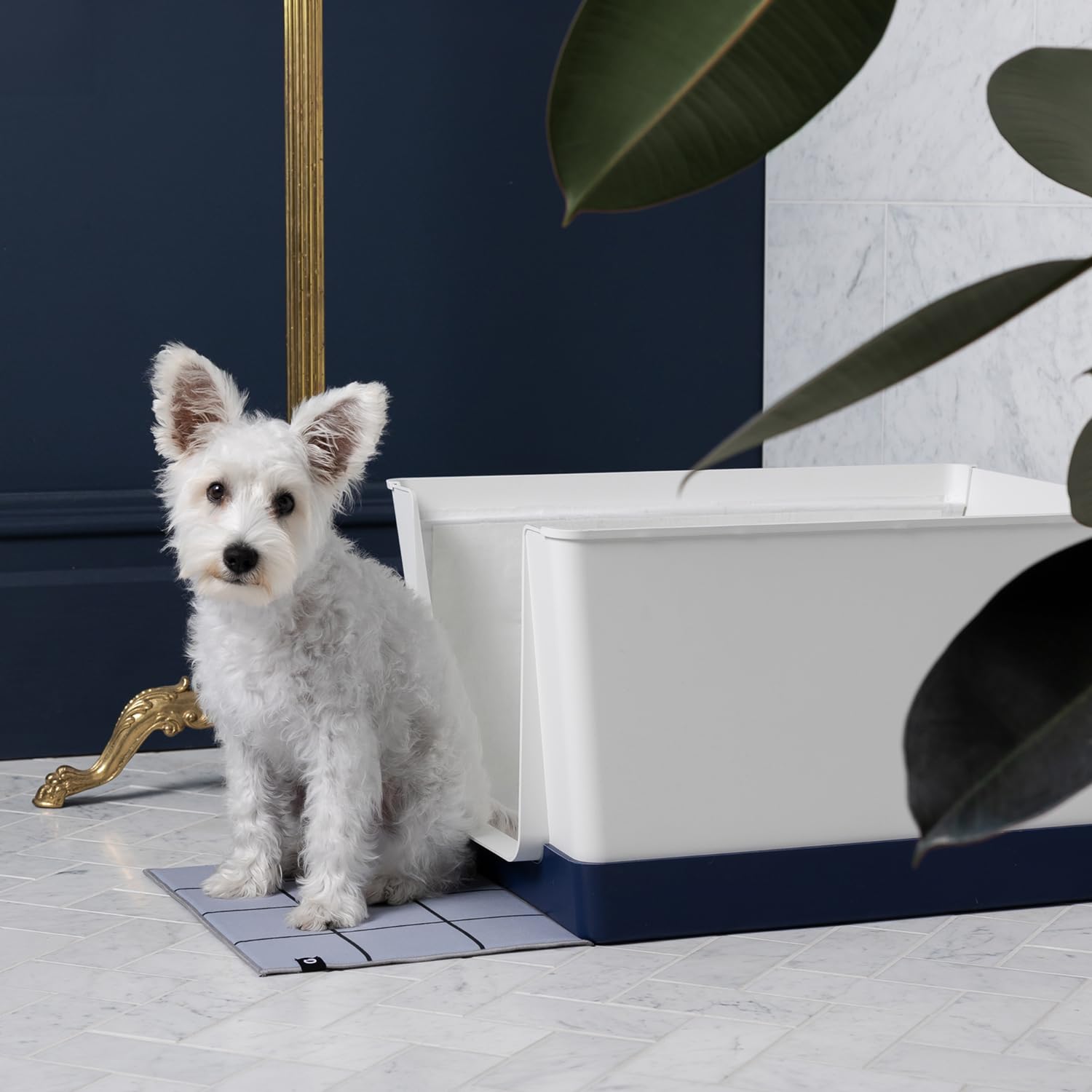 High-Walled Dog Litter Box with Low Entry - Indoor Dog Toilet Solution for Small Dogs - Mess-Free Splash Guard & Potty Training Pad Holder - Navy Blue Mini Pet Bathroom for Clean & Hygienic Home Use - Perfect for Apartments, Puppy Training & Senior Dogs