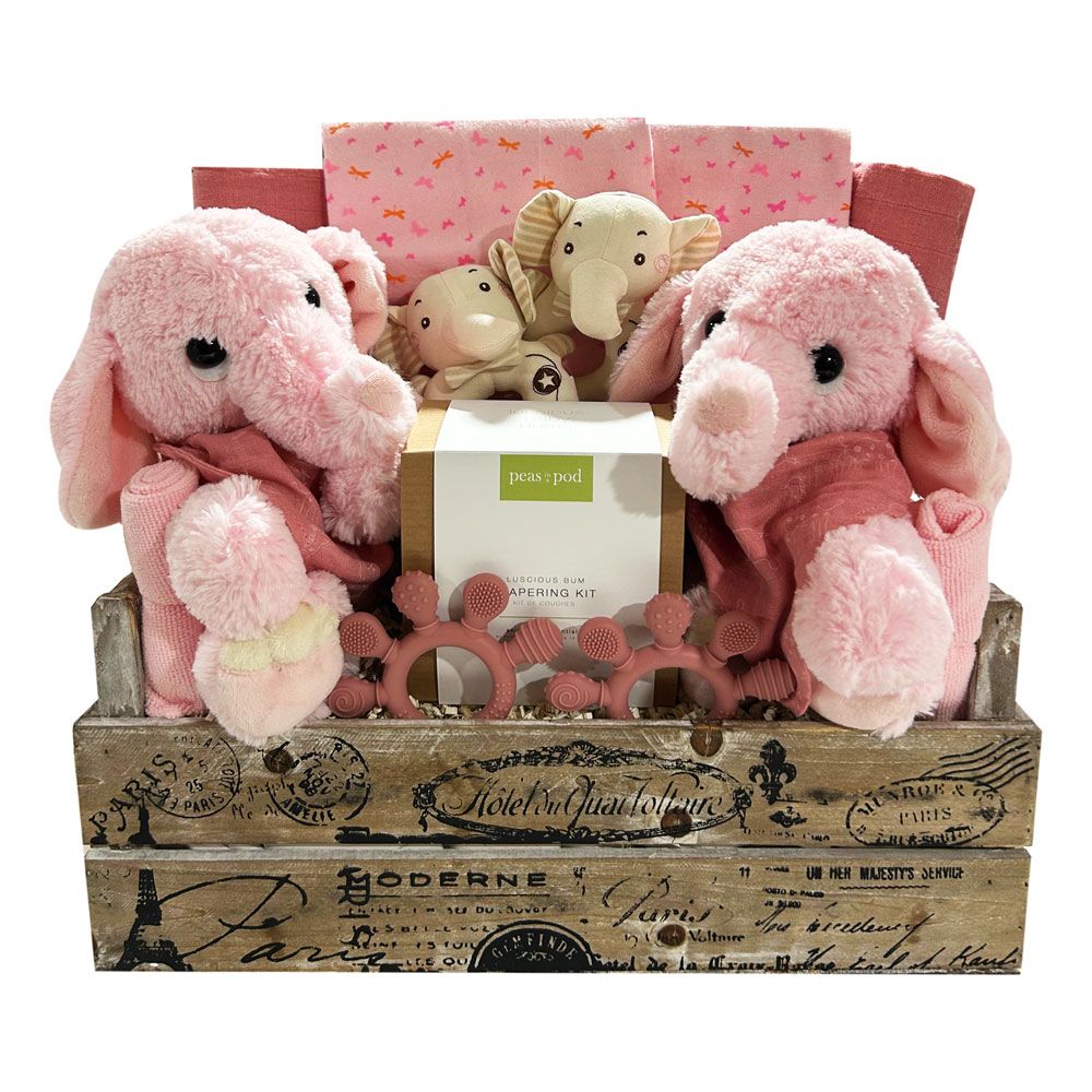 Double Blessings Twin Girls Matching Outfits - Perfect for Family Photos & Special Occasions - SKU: CBC0025
