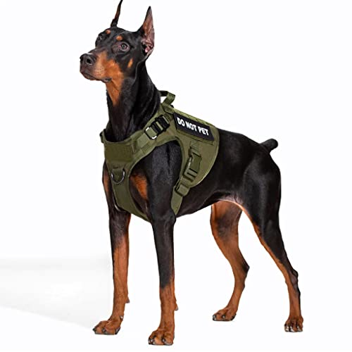 Ranger Green