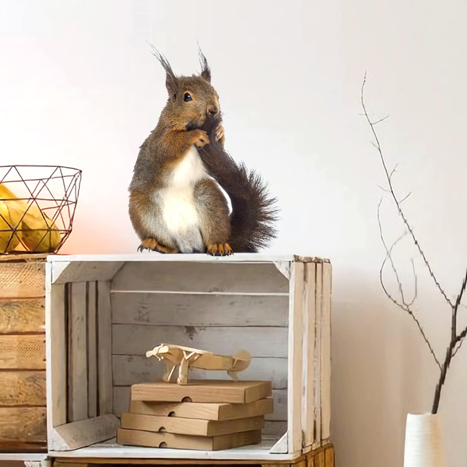 Adorable Squirrel Wall Decals - Peel & Stick Animal Stickers for Home Decor | Perfect for Bedroom, Kitchen, Bathroom, Kids Room & Cafe | Cute Window & Wall Decor for Nature Lovers