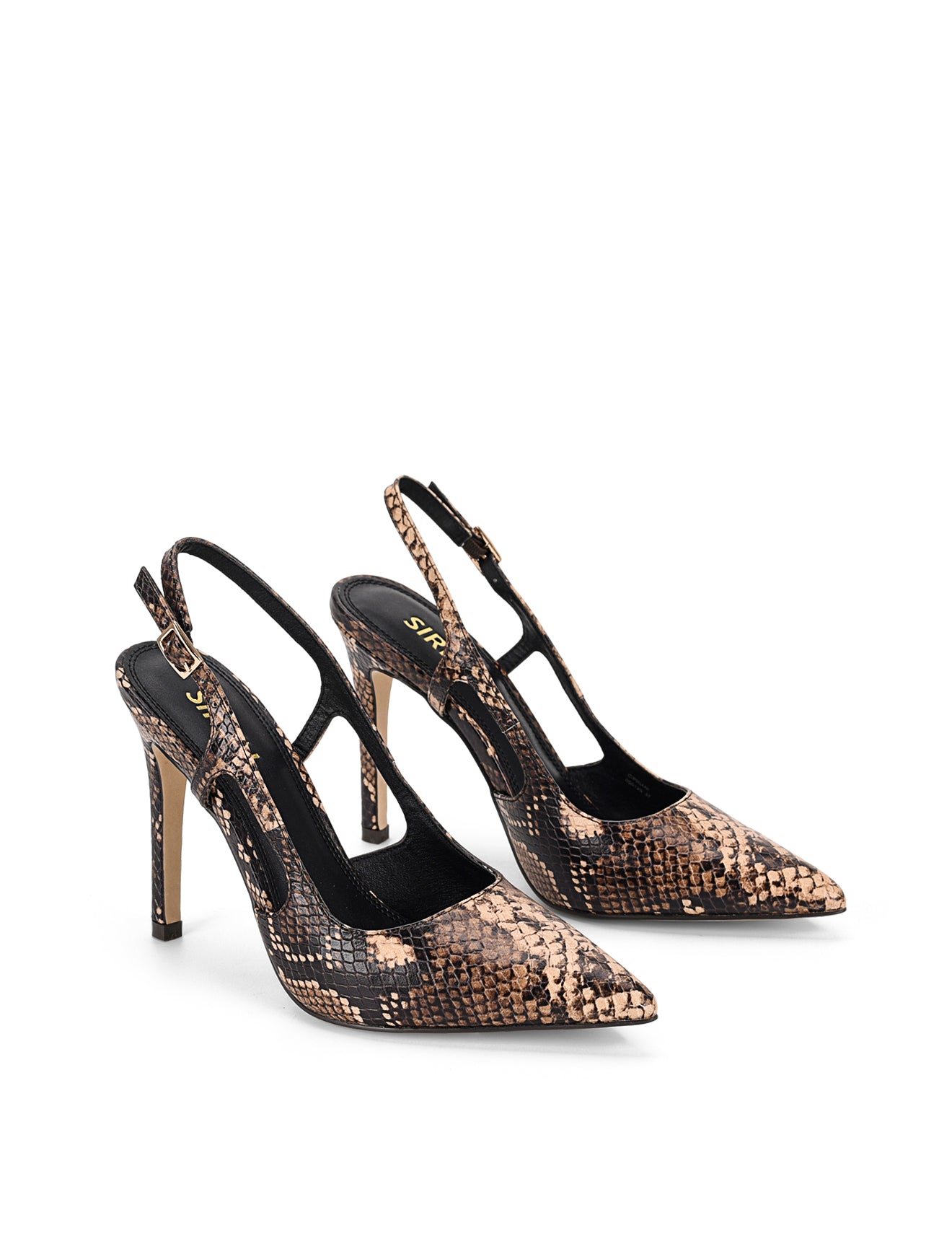 Cipriani Women's Stiletto High Heel Pumps - Genuine Brown Snake Leather Dress Shoes for Evening Parties & Formal Events