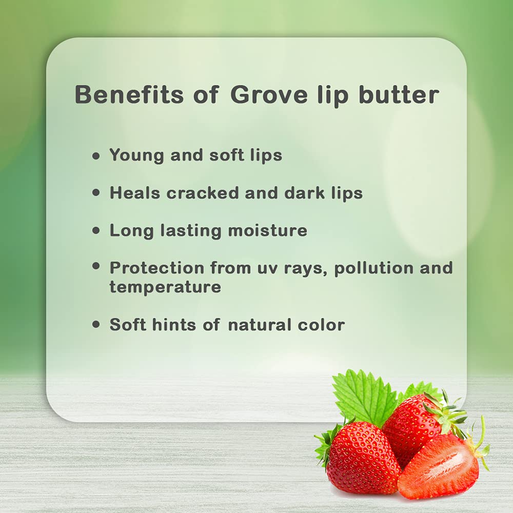 Grove Unisex Strawberry & Wild Rose Flavored Lip Balm - Hydrating Lip Care with Shea Butter, Coconut Oil & Vitamin E - Moisturizing Lip Butter for Dry & Chapped Lips - Perfect for Daily Use, Travel & Outdoor Activities (6g Stick)
