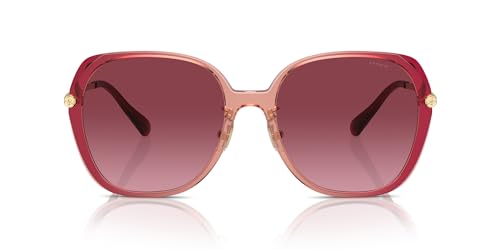 Burgundy/Pink Gradient/Burgundy Gradient