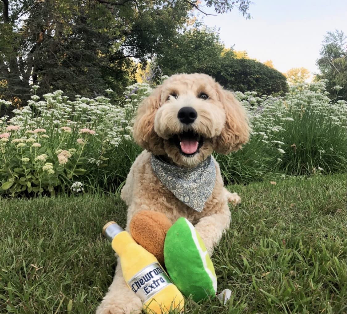 TONBO Cute Plush Dog Toys for Small & Medium Dogs - Soft Chewable Puppy Toys for Teething, Training & Playtime - Happy Hour Combo Set (2 Pack) - Perfect for Indoor & Outdoor Play, Gifts for Dog Lovers