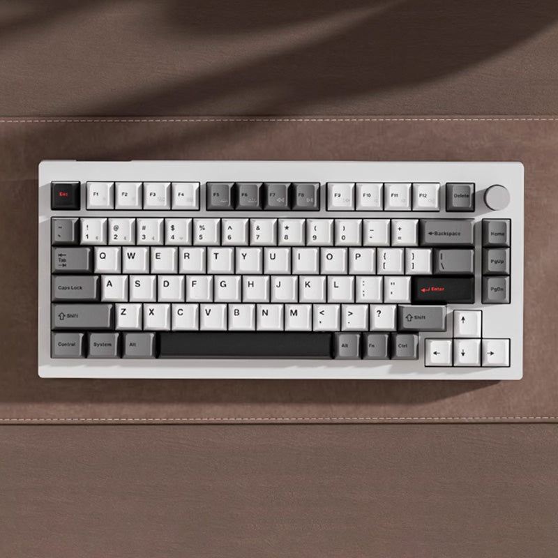 JAMESDONKEY A3 3.0 QMK Wireless Mechanical Keyboard - 60% Compact RGB Backlit Gaming Keyboard with Hot-Swappable Switches for PC/Mac - Perfect for Office Work, Gaming & Programming