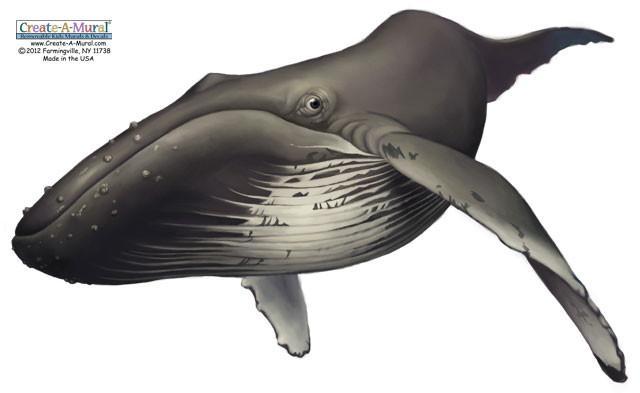 Whale Wall Mural Sticker - Removable Ocean Themed Decal for Kids Room, Nursery, or Classroom Decor - Perfect for Underwater Theme Bedrooms & Playrooms