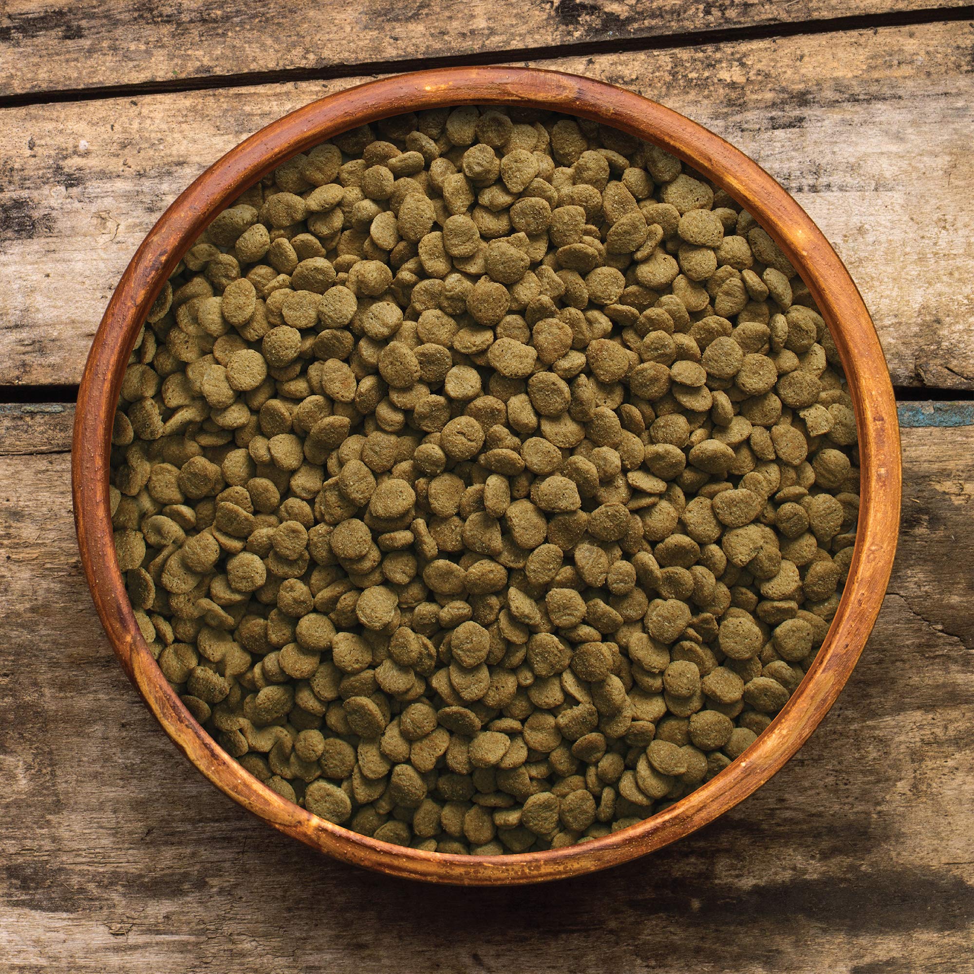 Earthborn Holistic Weight Control Grain-Free Dry Dog Food - Healthy Weight Management for Dogs - Perfect for Overweight or Less Active Pets