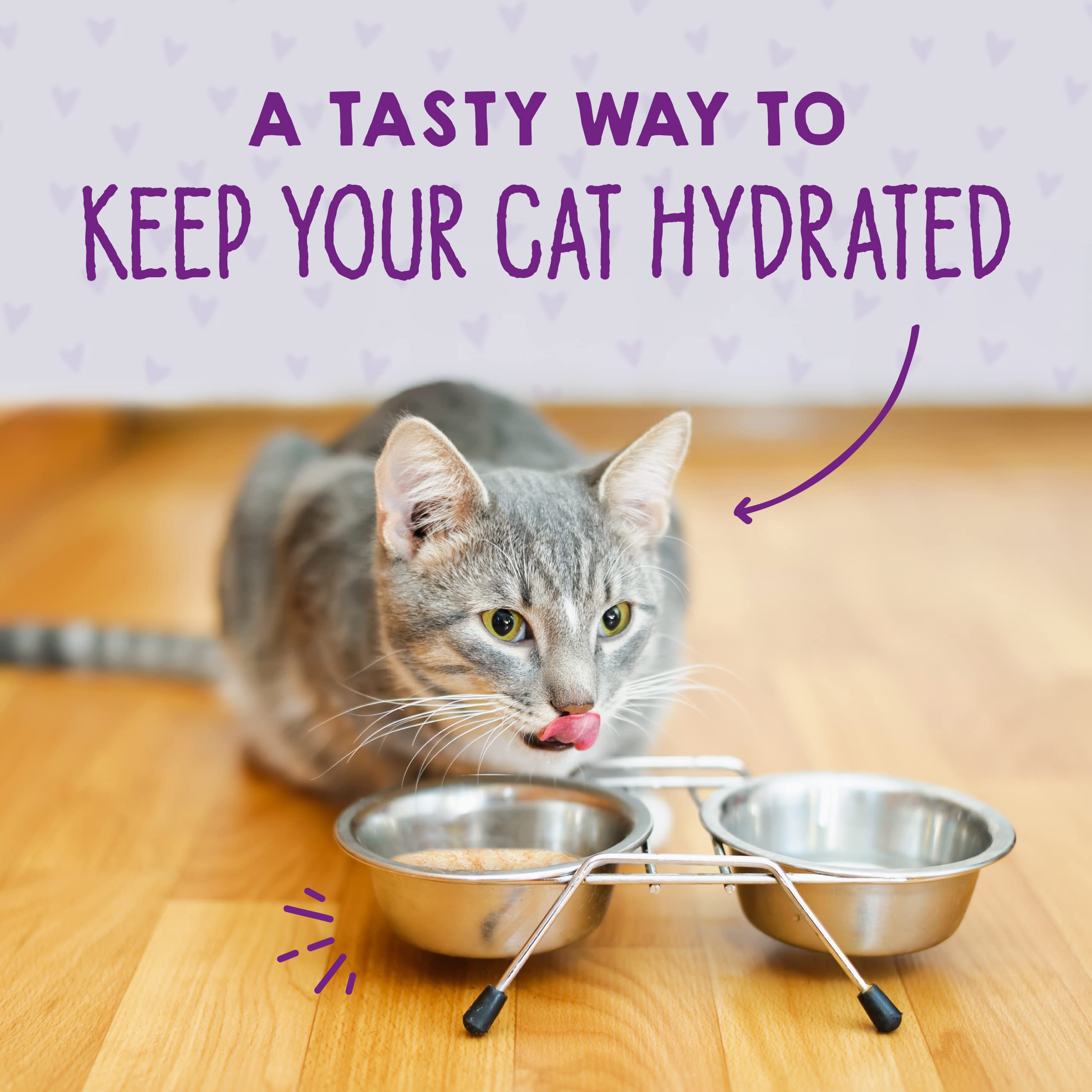Stella & Chewy's Grain-Free Wet Cat Food - High Protein Wild-Caught Tuna & Salmon Recipe in Savory Shreds (5.2 oz Cans, Pack of 24) - Perfect for Indoor Cats & Picky Eaters