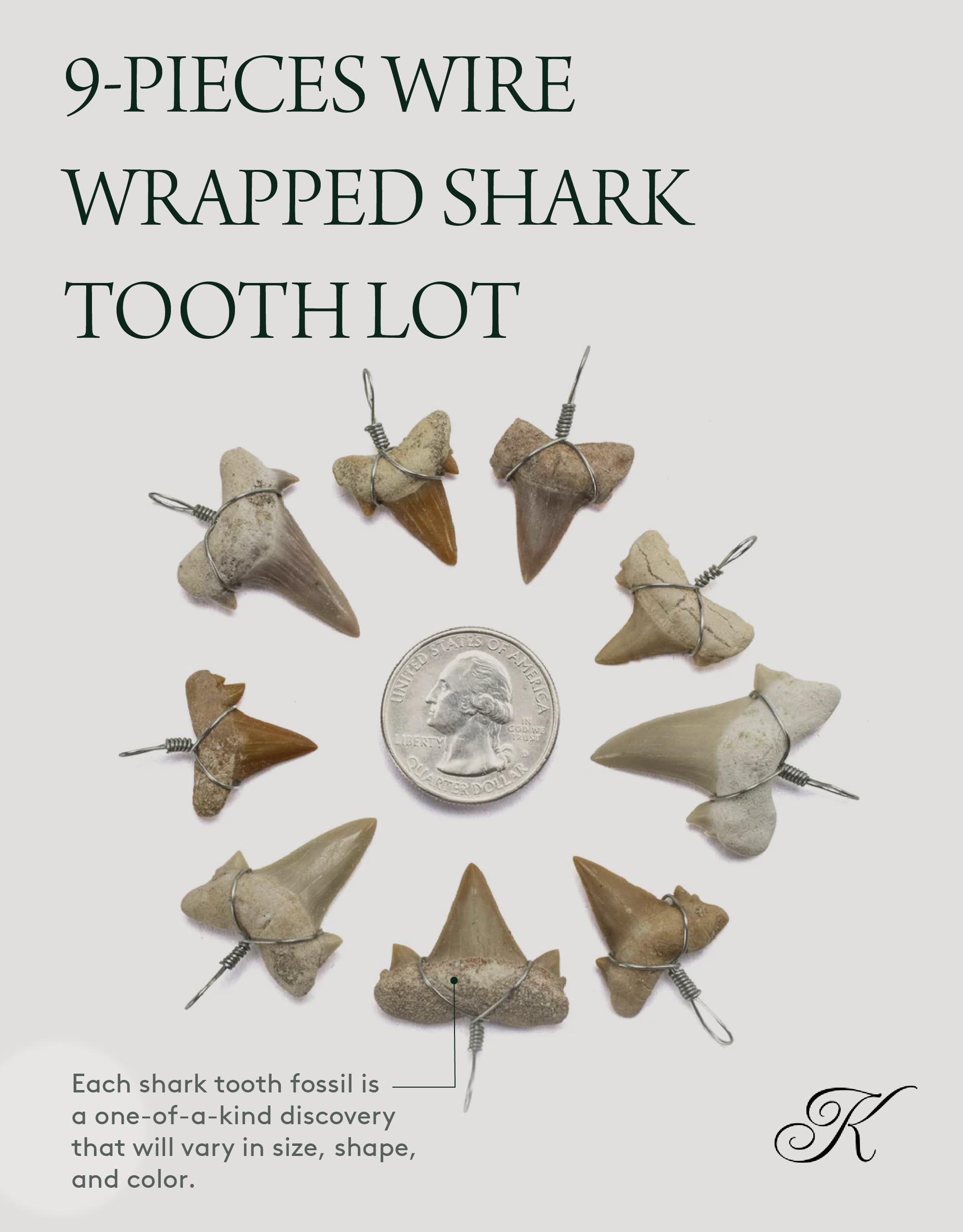 Authentic Fossilized Prehistoric Shark Teeth from Morocco - 9 Pack Mini Wire Wrapped Teeth for Jewelry Making & Fossil Collections | Includes Information Card | Perfect for DIY Necklaces, Pendants & Science Education
