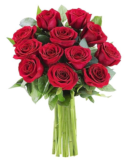 Romentic Red