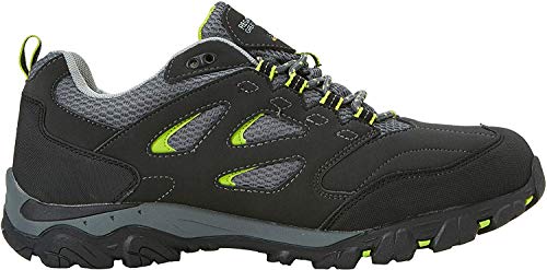 Grey Ash Limegrn 40n