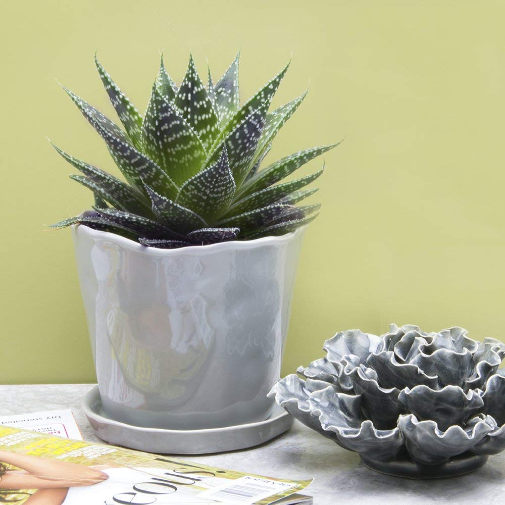 CHIVE ‘Tika’ 5 Inch Large Succulent Planter Pot - Modern Grey Indoor Plant Container for Home & Kitchen Decor - Perfect for Windowsills, Office Desks, and Gift Giving