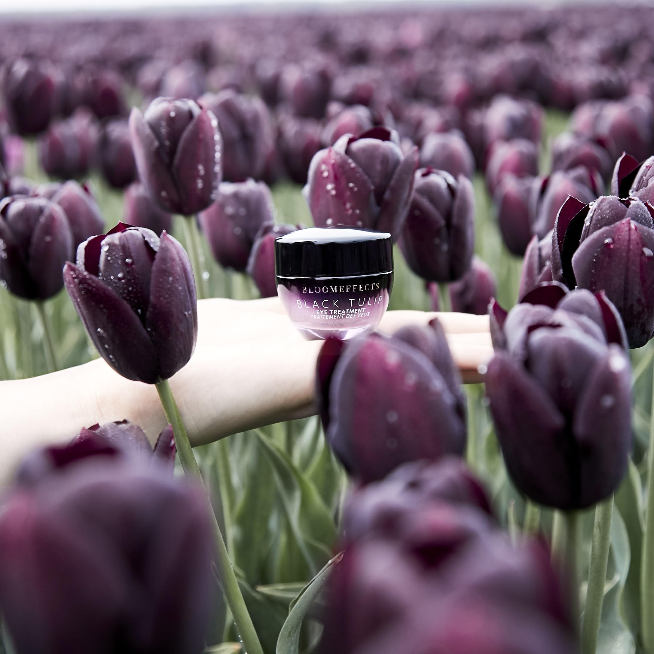 Bloomeffects Natural Black Tulip Eye Treatment Cream - Clean & Non-Toxic Under Eye Cream for Dark Circles, Puffiness & Wrinkles (0.5oz | 15mL) - Perfect for Morning & Night Skincare Routine