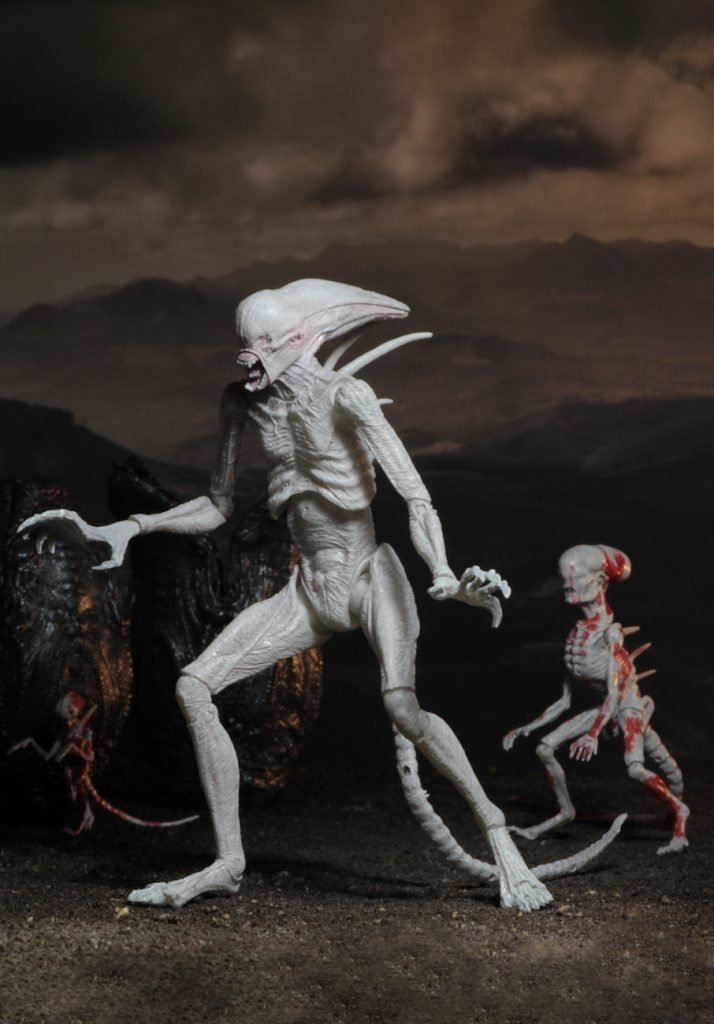 NECA Alien: Covenant 7-Inch Scale Neomorph Action Figure - Highly Detailed Collectible for Movie Fans & Sci-Fi Enthusiasts - Perfect for Display, Photography & Diorama Scenes