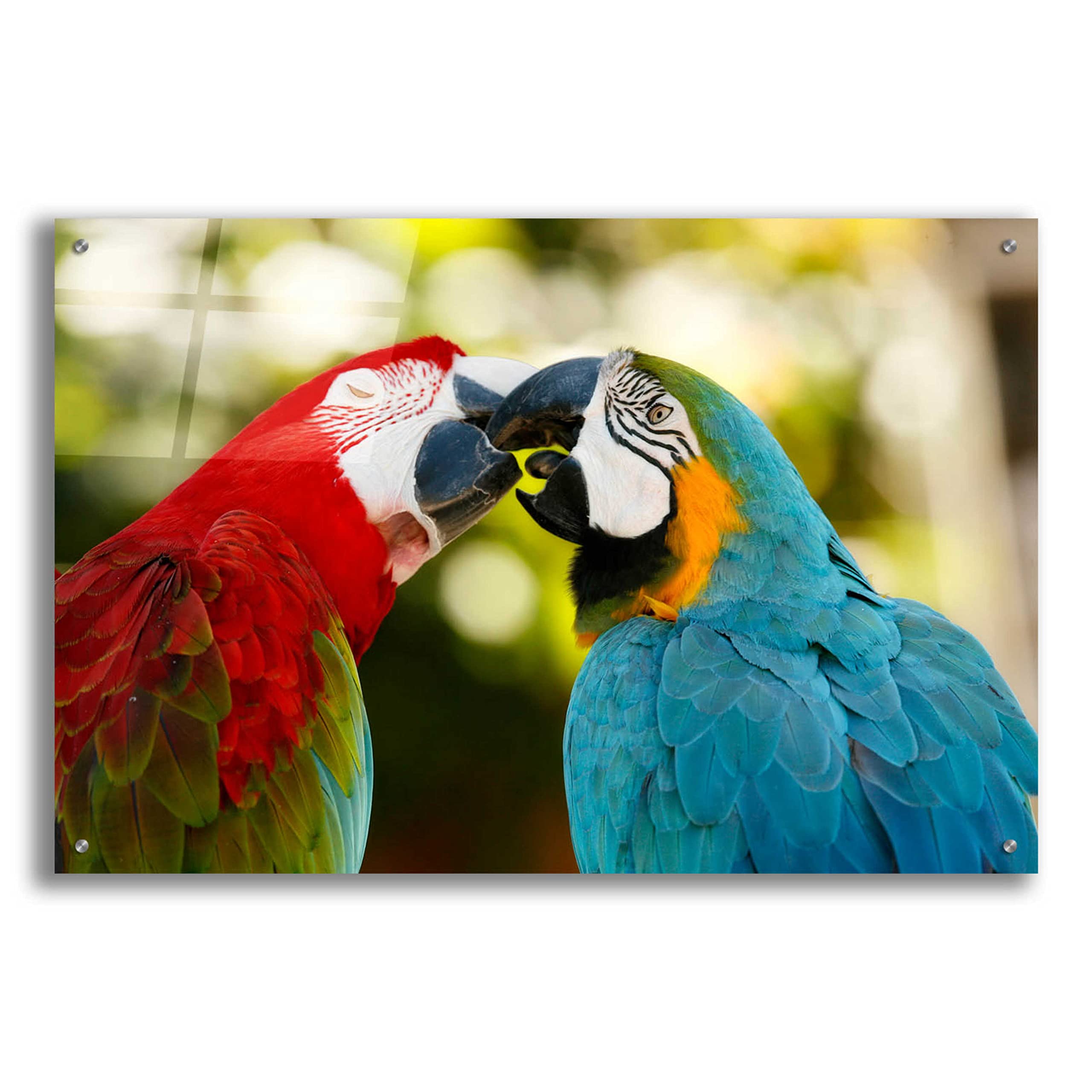 Epic Art 'The Kiss' by Mike Jones - Premium Acrylic Glass Wall Painting - 36x24 Inches - Romantic Home Decor for Living Room, Bedroom & Office