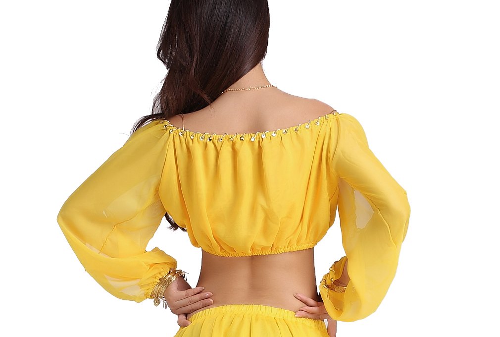 Elegant Women's Belly Dance Chiffon Top with Long Sleeves - Perfect for Performances, Costume Parties & Dance Practice