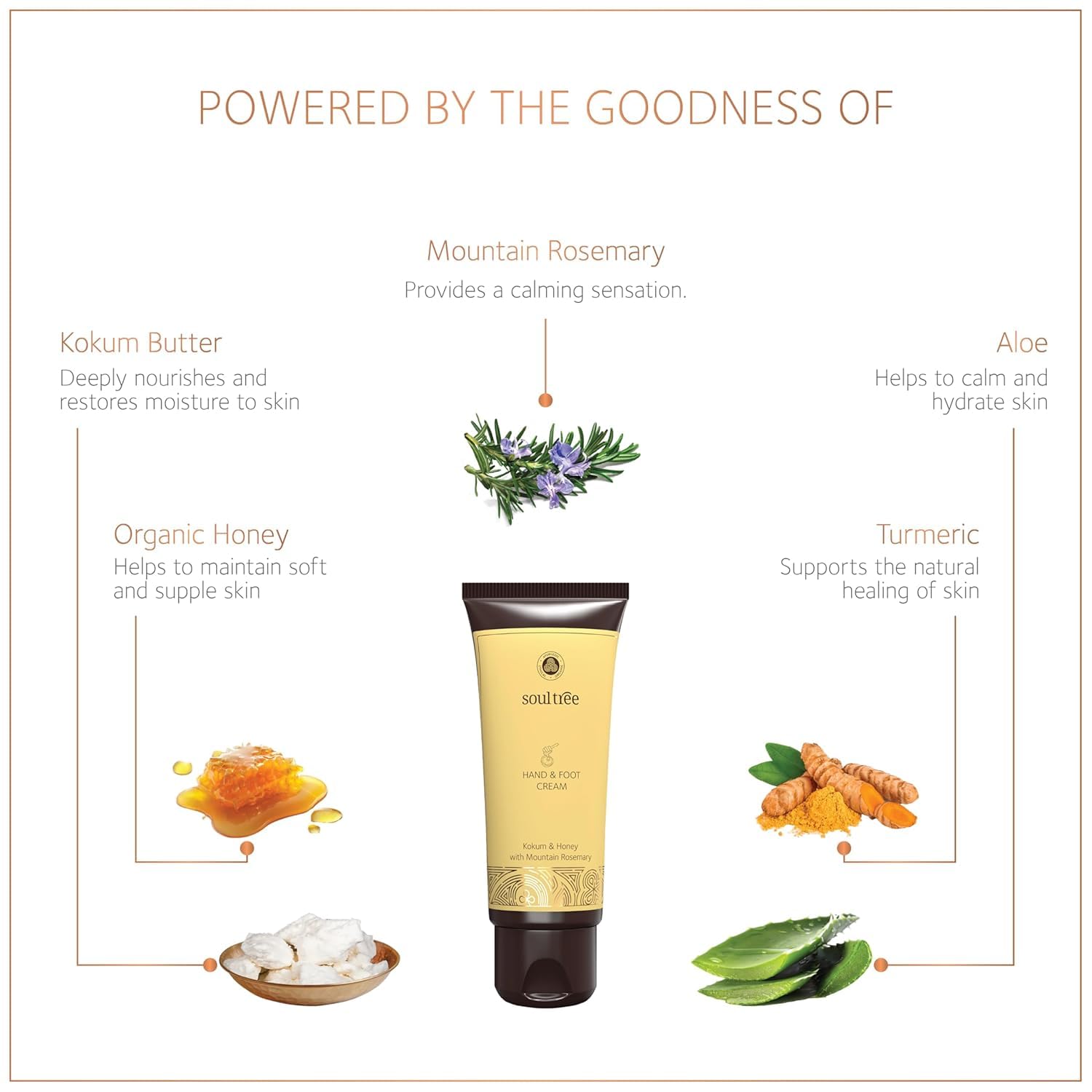Kokum, Honey & Mountain Rosemary Hand & Foot Cream - Deep Moisturizing for Dry Skin - 100g - Perfect for Winter Care & Cracked Heel Repair