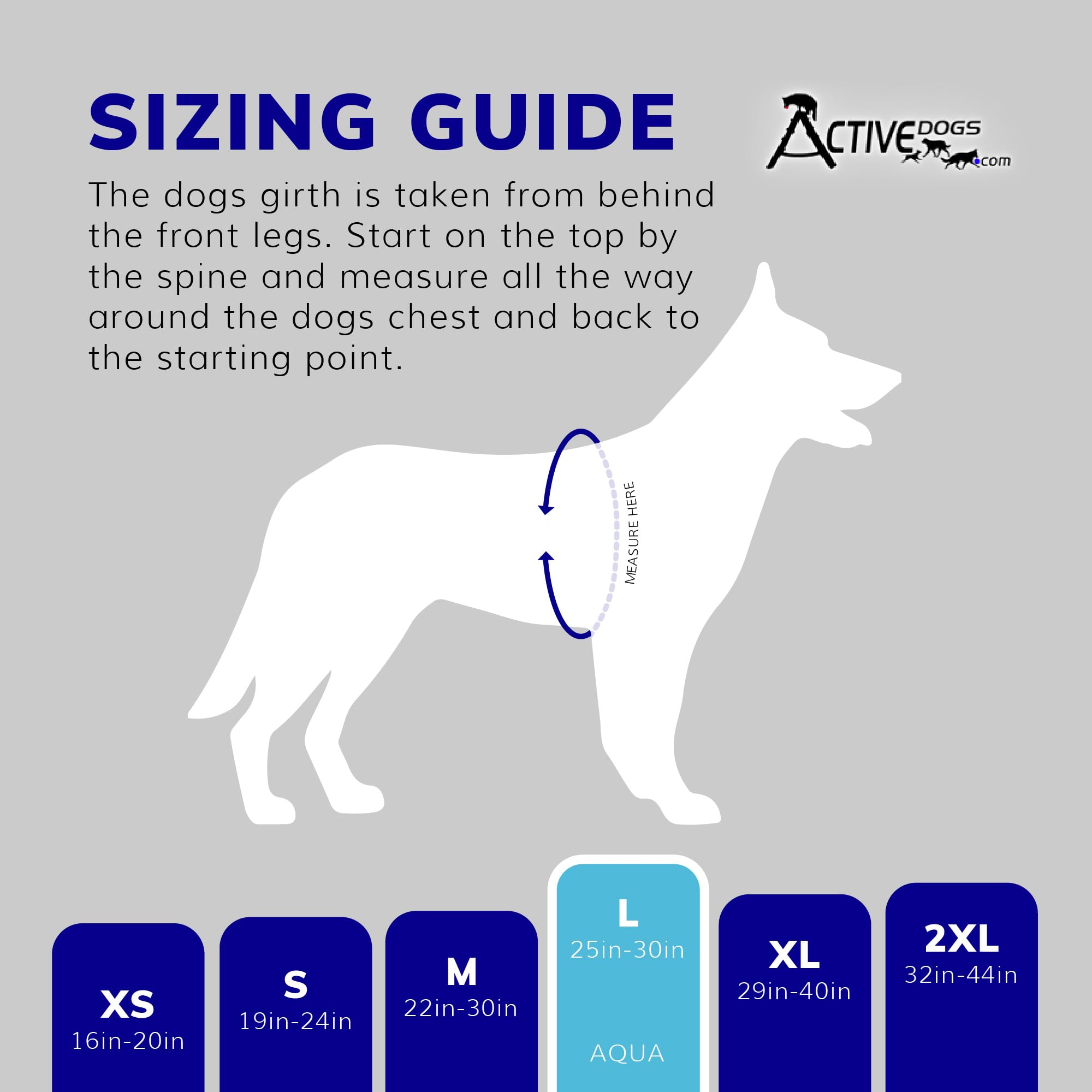 ActiveDogs Full Service Dog Kit - Large Aqua - Service Dog Vest Harness with Handle, ID Badge, ADA Compliance Cards, Medical Alert Keychain, Adjustable Leash & Custom Patches | Perfect for Therapy Dogs, Emotional Support Animals & Public Access Training