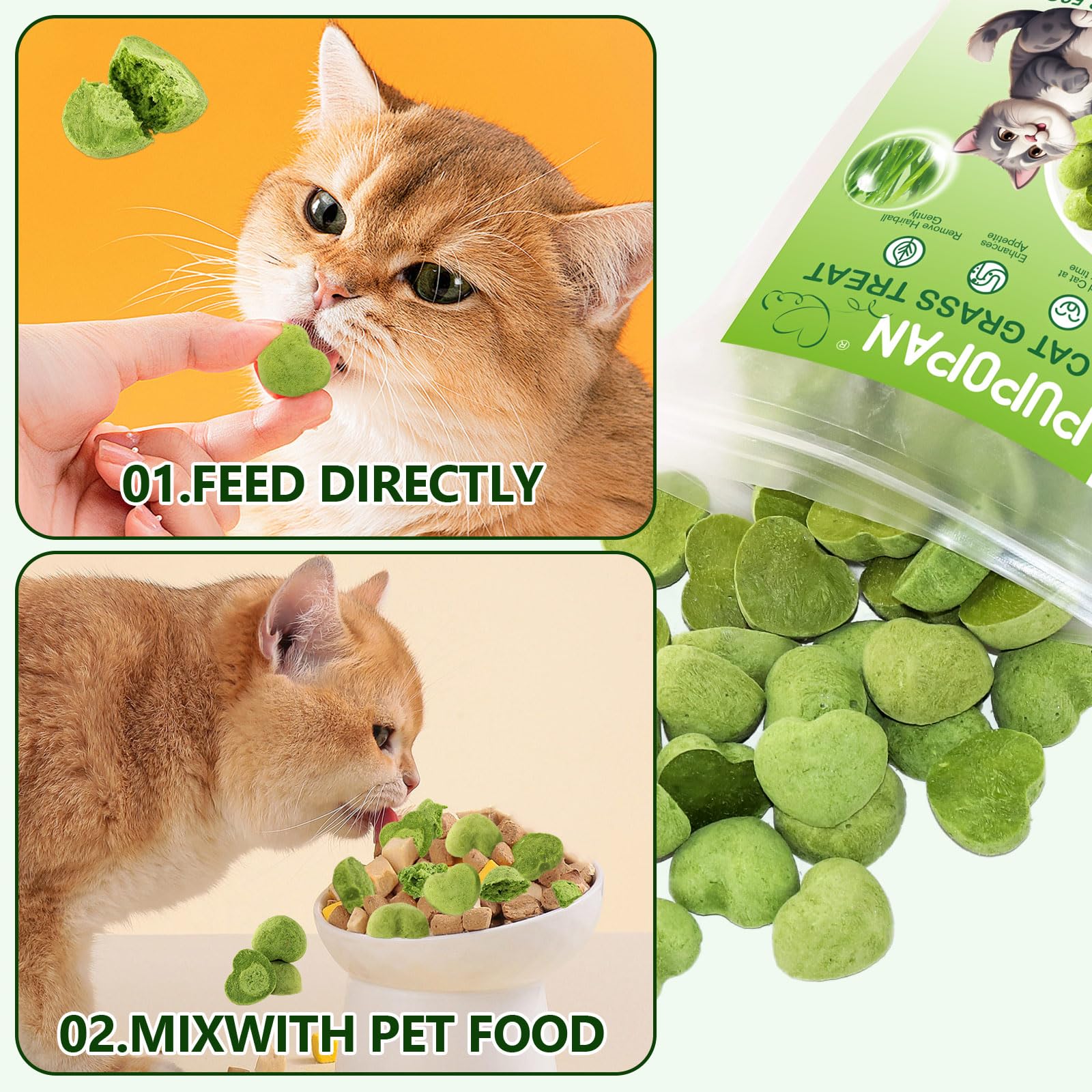 Organic Cat Grass Teething Sticks for Kittens & Adult Cats - 3.52Oz Freeze-Dried Edible Cat Treats for Hairball Control & Dental Health - Perfect for Indoor Cats, Teething Kittens & Digestive Support