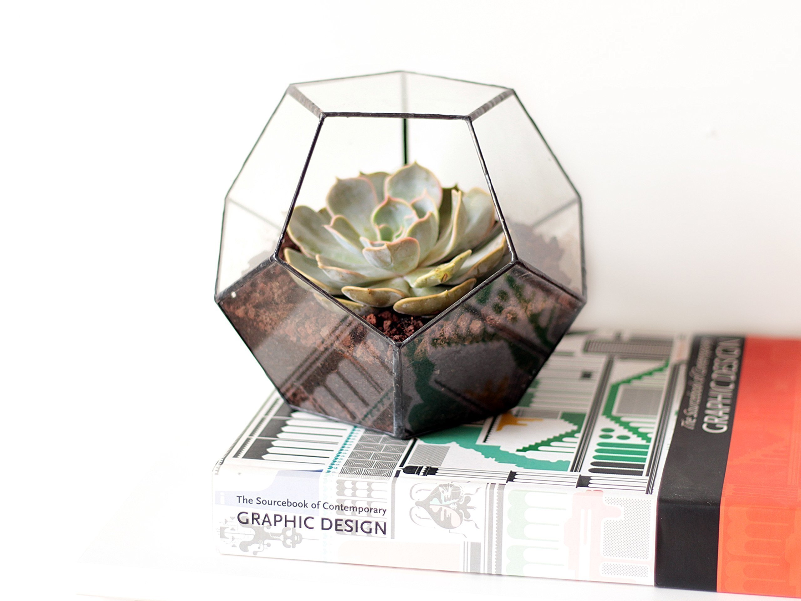 Glass Geometric Terrarium Planter - Dodecahedron Shape in Copper, Silver & Black | Indoor Plant Display for Home Decor, Office Desk & Gift Ideas