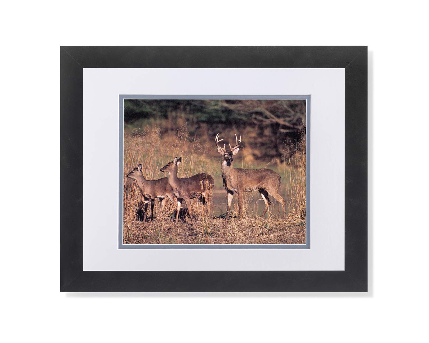 Buck Deer Big Antler Rack Family by River - Framed Wall Art Print with Matted Finish | Perfect for Living Room, Cabin, or Hunting Lodge Decor