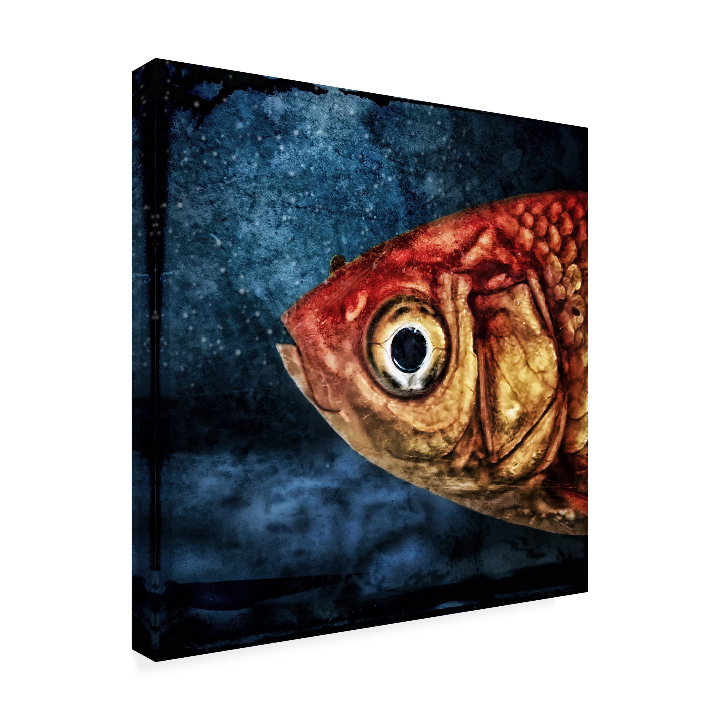 Piet Flour 'Isidor The Goldfish' Canvas Art Print - Modern Wall Decor for Living Room, Bedroom & Office - Trademark Fine Art Collection
