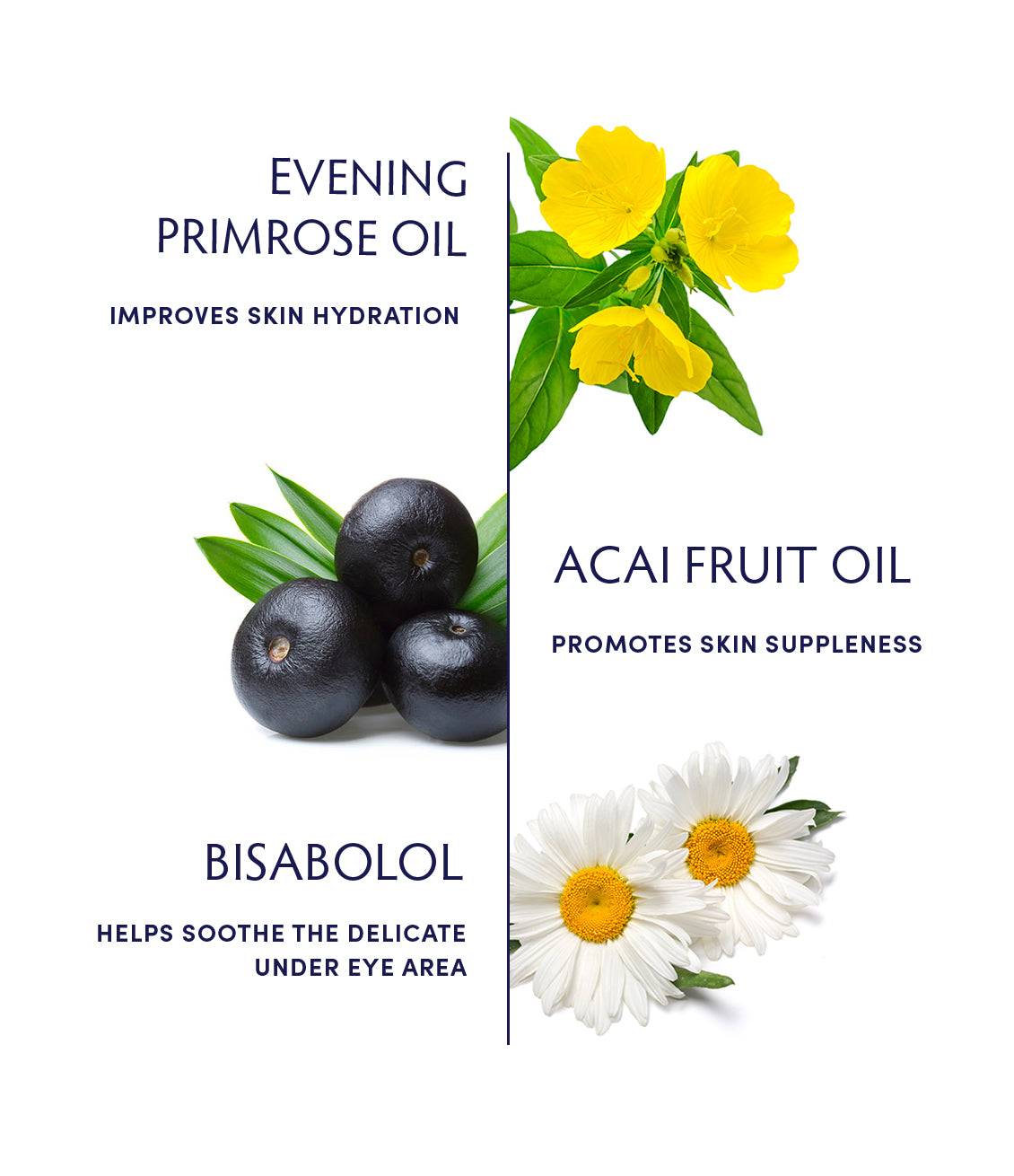 Primrose Eye & Lip Treatment Cream - Anti-Aging Moisturizer for Dark Circles & Wrinkles | Hydrating & Firming Skincare | Perfect for Night Routine & Travel Care