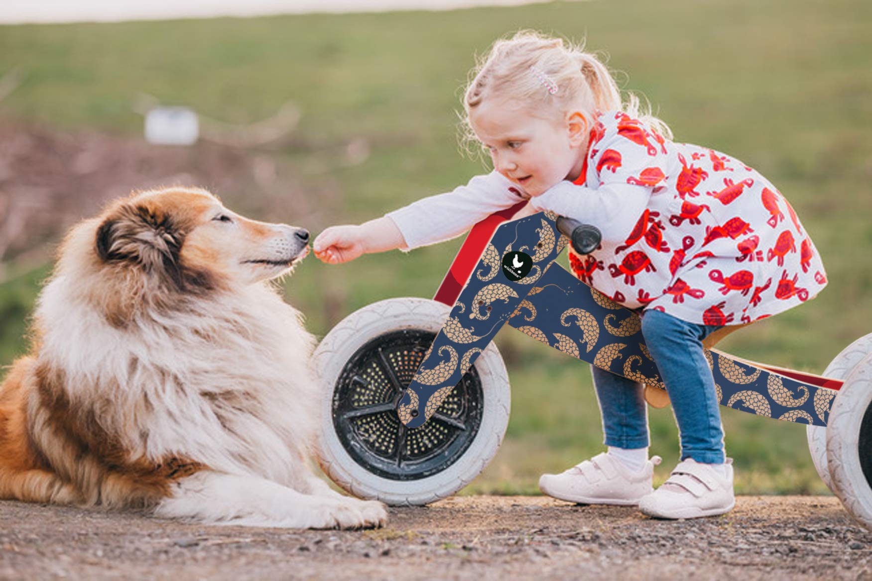 Wishbone 3-in-1 Designer Wooden Balance Bike & Walker for Kids Ages 1-5 | Convertible Toddler Bike, Push Bike & Ride-On Toy | Perfect for Indoor Play, Outdoor Adventures & Learning to Ride (Pangolin Style)