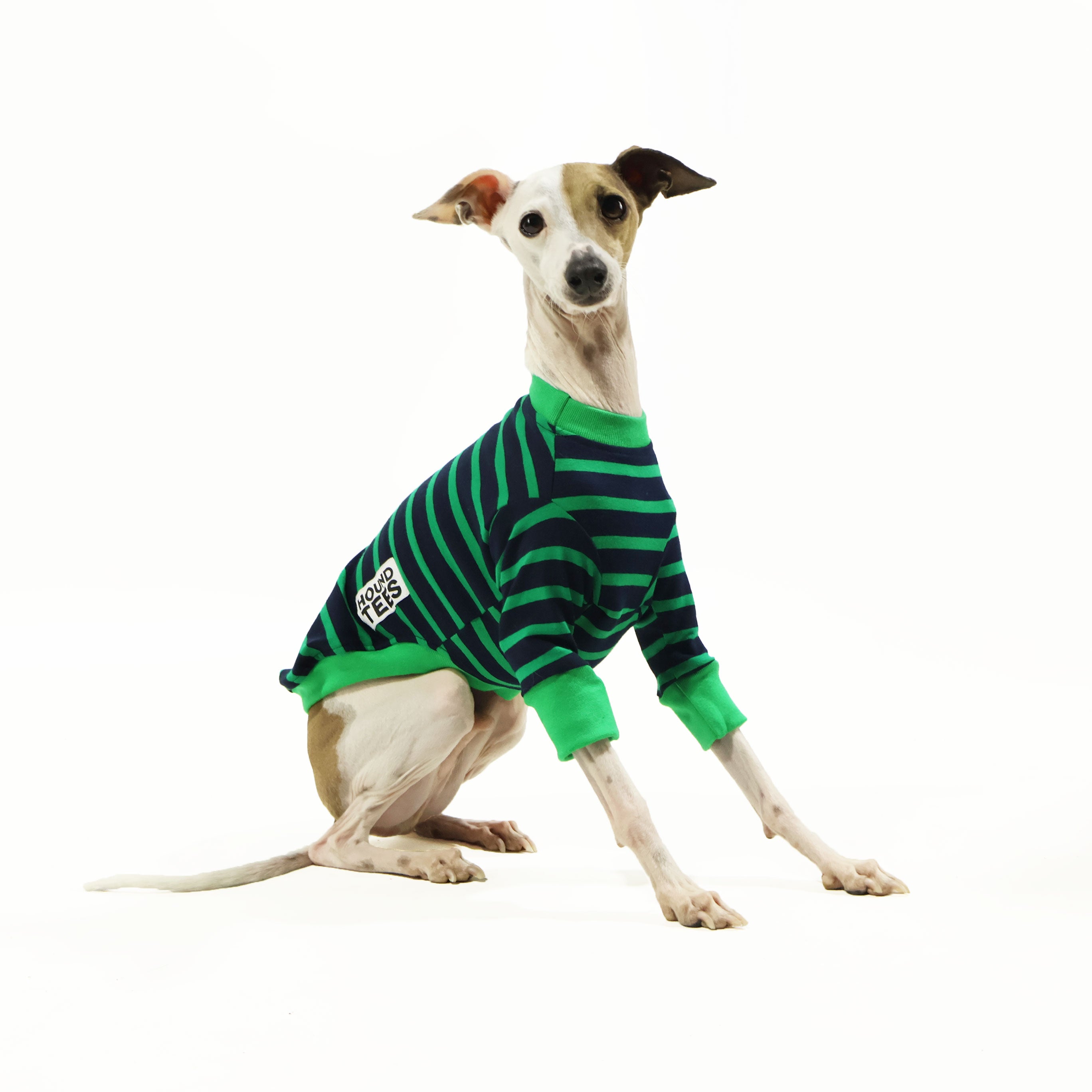 Kermit Italian Greyhound Long Sleeve Hound Tee - Cute Dog Lover Shirt for Women & Men - Perfect for Casual Wear, Dog Walks & Pet Owner Gifts