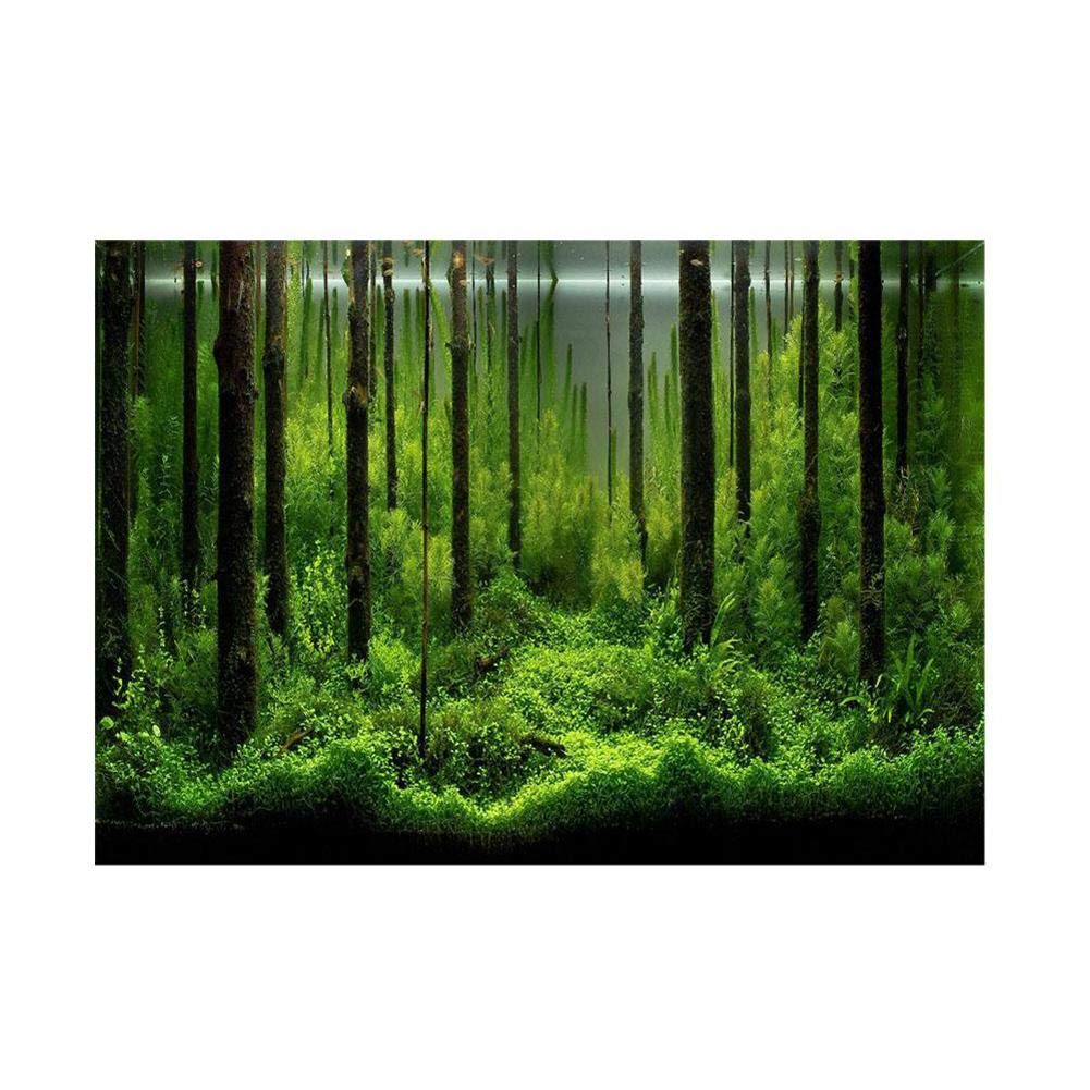 GOTOTOP Underwater Fish Aquarium Background Poster - 48x18 Inch PVC Adhesive Forest Scene Backdrop for Fish Tanks, Decorative Wall Art Print | Perfect for Home Aquariums, Pet Stores & Office Decor