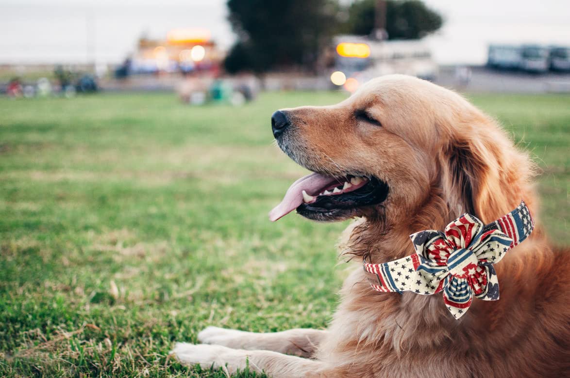 Stylish American Flag Dog Collar with Detachable Flower - Adjustable Pet Collar for Small Dogs | Perfect for Patriotic Events, Daily Walks & Gift Giving