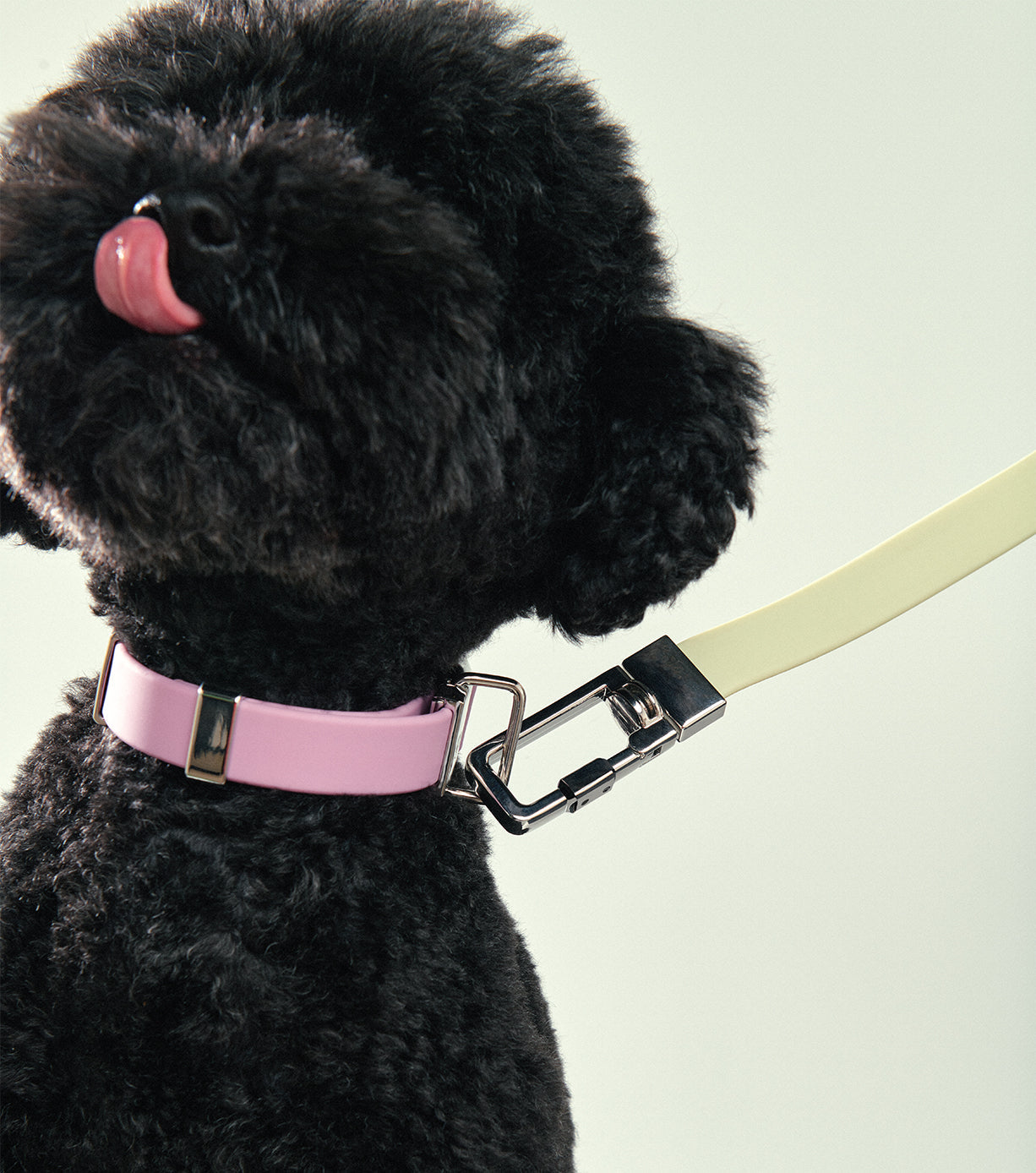 Durable and Adjustable Pet Leash for Dogs & Cats - Strong Nylon Reflective Dog Leash for Walking, Running, and Outdoor Adventures