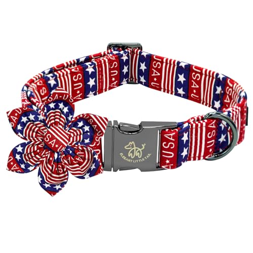 USA Flag