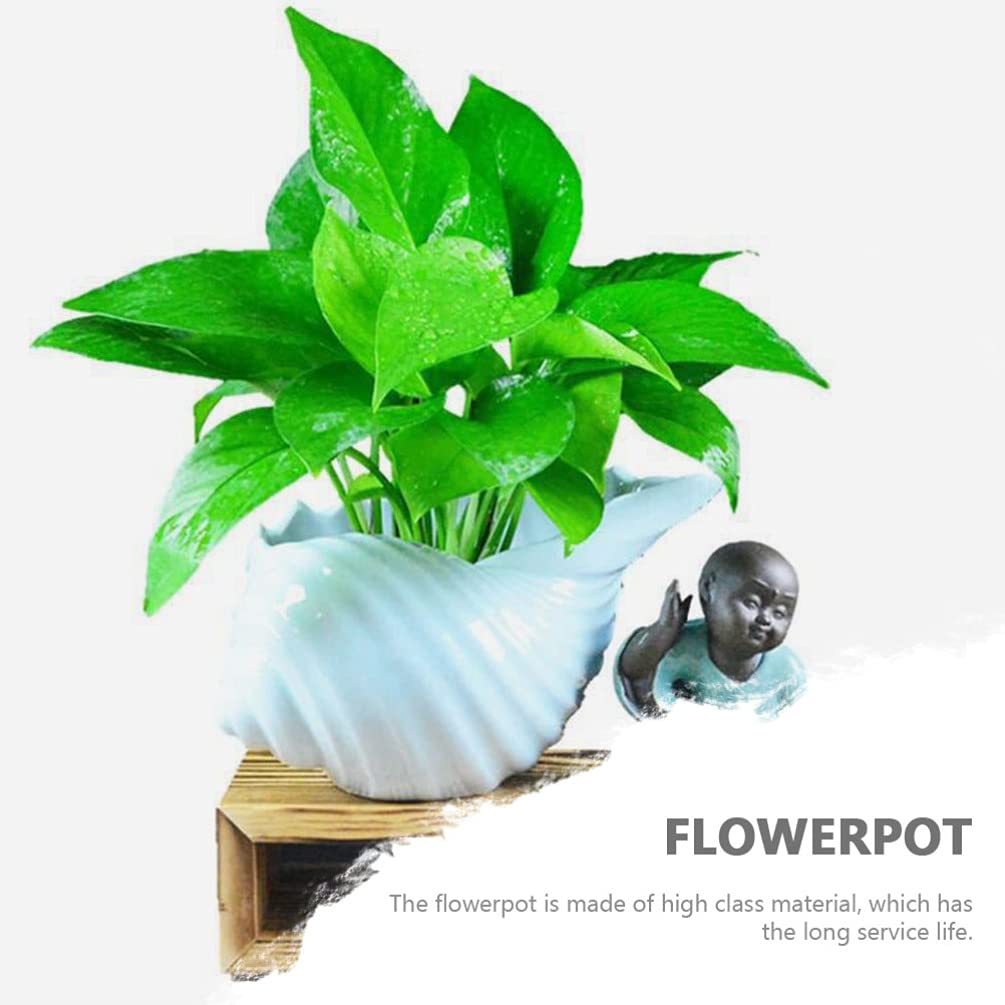 FOMIYES 1pc Ceramic Conch Shell Planter - Mini Bonsai Flower Pot for Indoor Plants, Succulents, Office Desk Decor, Lotus & Small Plants - Unique Shell Shape Decorative Planter for Home, Garden & Office Use