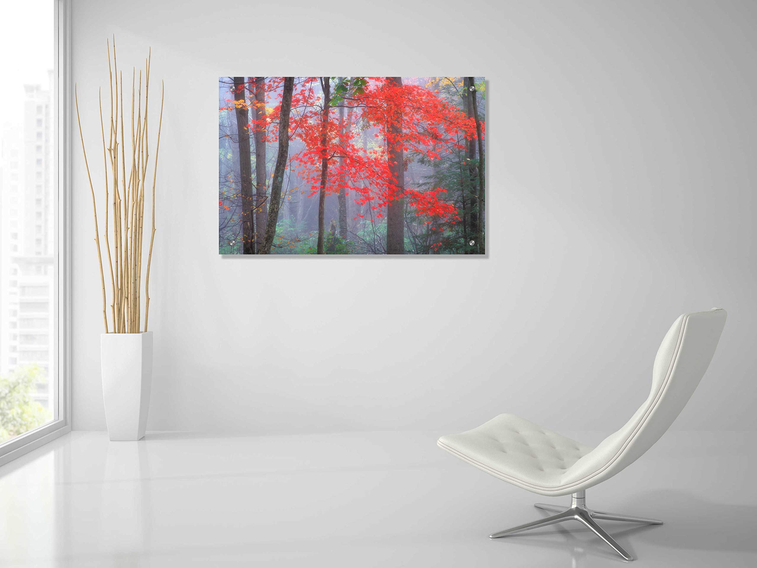 Epic Art 'Splash of Red' by Patrick Zephyr - 36x24 Inch Modern Acrylic Glass Wall Painting - Vibrant Abstract Home Decor for Living Room, Bedroom & Office