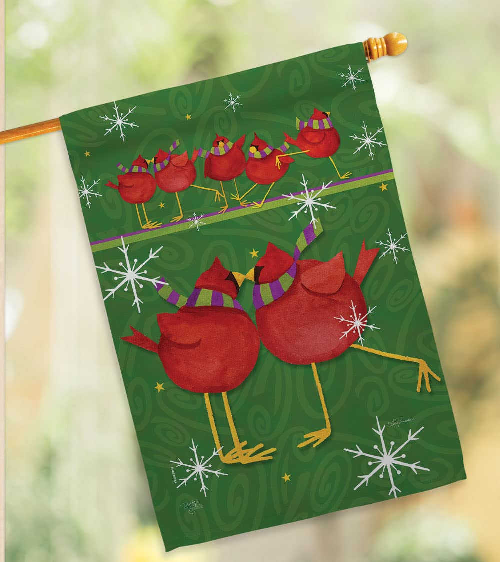 Callin All Cardinals Winter House Flag Set 28x40 - Outdoor Holiday Decor