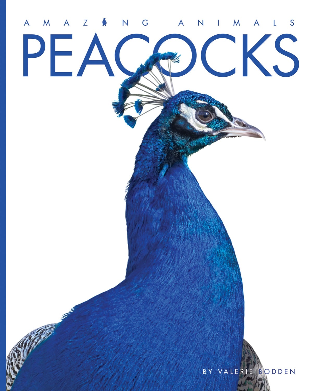 Amazing Animals (2014): Peacocks - Stunning Nature Documentary | Wildlife Exploration | Perfect for Nature Lovers & Educational Use