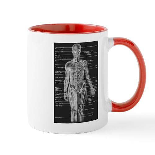 White/Red Inside - Human Anatomy Chart Mug